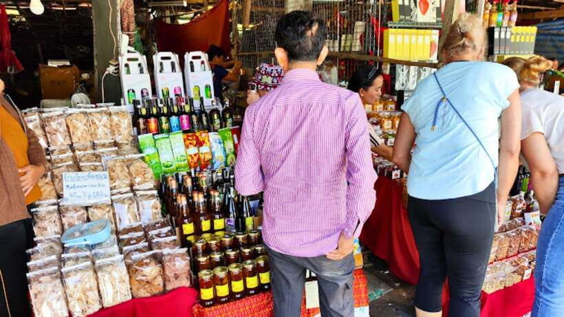 Chiang Mai:Doi Inthanon National Park & Hike at Kew Mae Pan - Ban Mae Klang Luang Coffee Village Stop