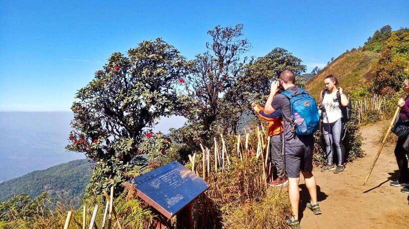 Chiang Mai:Doi Inthanon National Park & Hike at Kew Mae Pan - Doi Inthanon Summit Stop: Views, Altitude, and Sea of Mist Odds