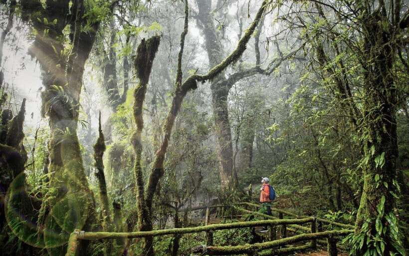 Chiang Mai: Doi Inthanon National Park Sightseeing Only - Key Things That Make This Doi Inthanon Day Trip Work