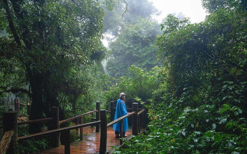 Chiang Mai: Doi Inthanon National Park Sightseeing Only - The Car Time, Group Energy, and How to Make It Better