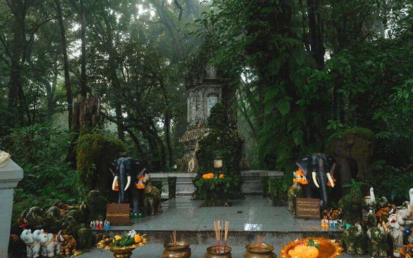 Chiang Mai: Doi Inthanon National Park Sightseeing Only - Ang Ka Luang Nature Trail, a Short Walk That Still Satisfies