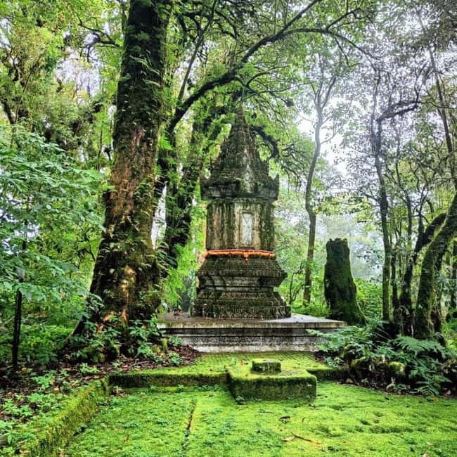 Chiang Mai: Doi Inthanon National Park+Trek Pha Dok Siew - King and Queen Pagodas: gardens, viewpoints, and a cultural pause