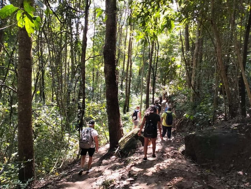 Chiang Mai: Doi Inthanon National Park+Trek Pha Dok Siew - Rak Jung Waterfall swim: when conditions decide the plan