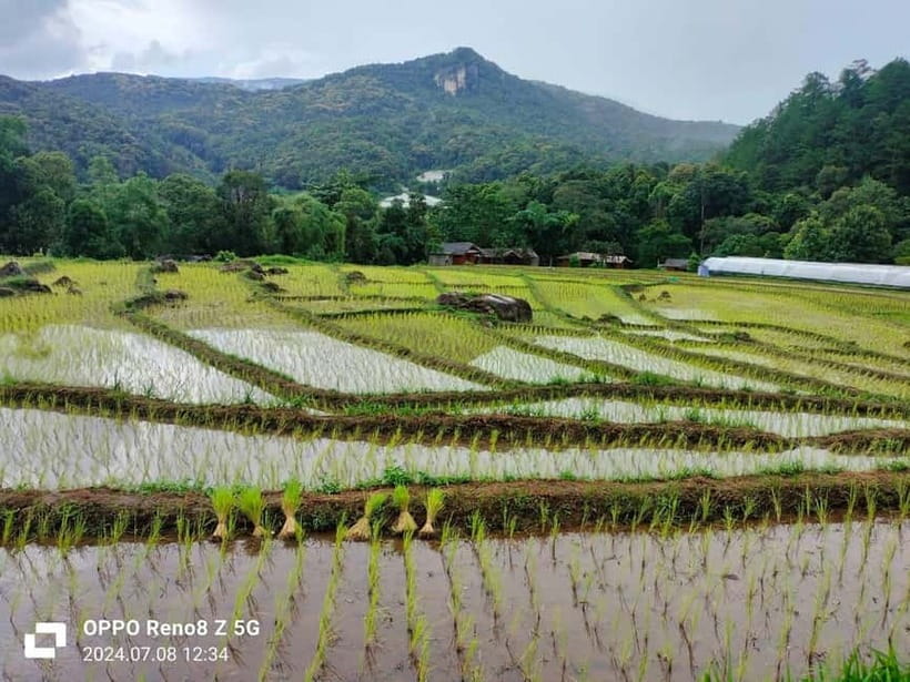 Chiang Mai: Doi Inthanon National Park+Trek Pha Dok Siew - White Karen hill tribe village coffee: a small moment with big impact