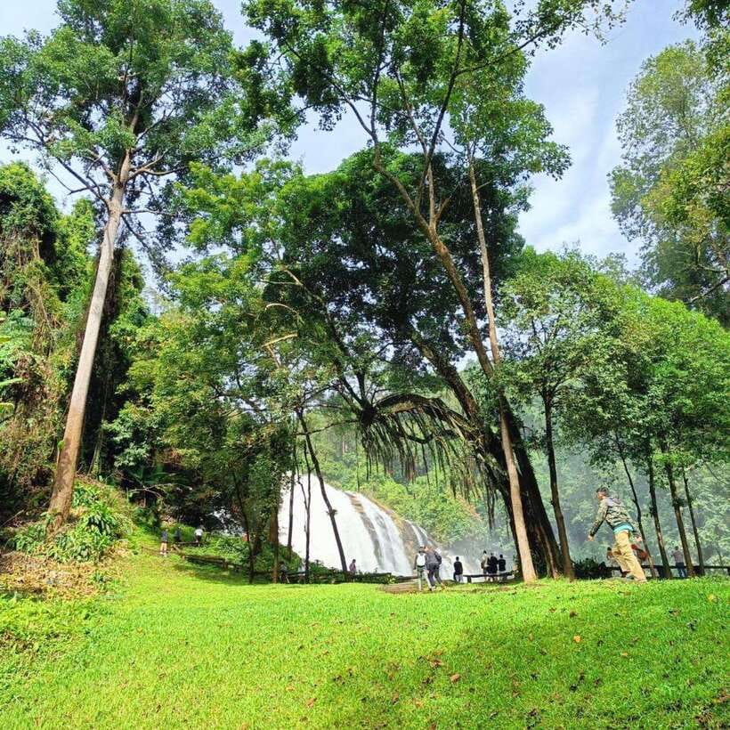 Chiang Mai: Doi Inthanon National Park & Waterfall Day Tour - Ang Ga trail walk: a short hike with big forest payoff