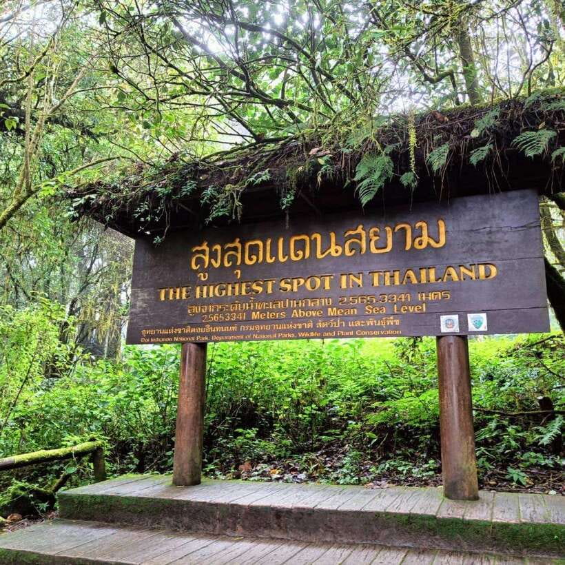 Chiang Mai: Doi Inthanon National Park & Waterfall Day Tour - Price and value: is $50 for 9 hours worth it?