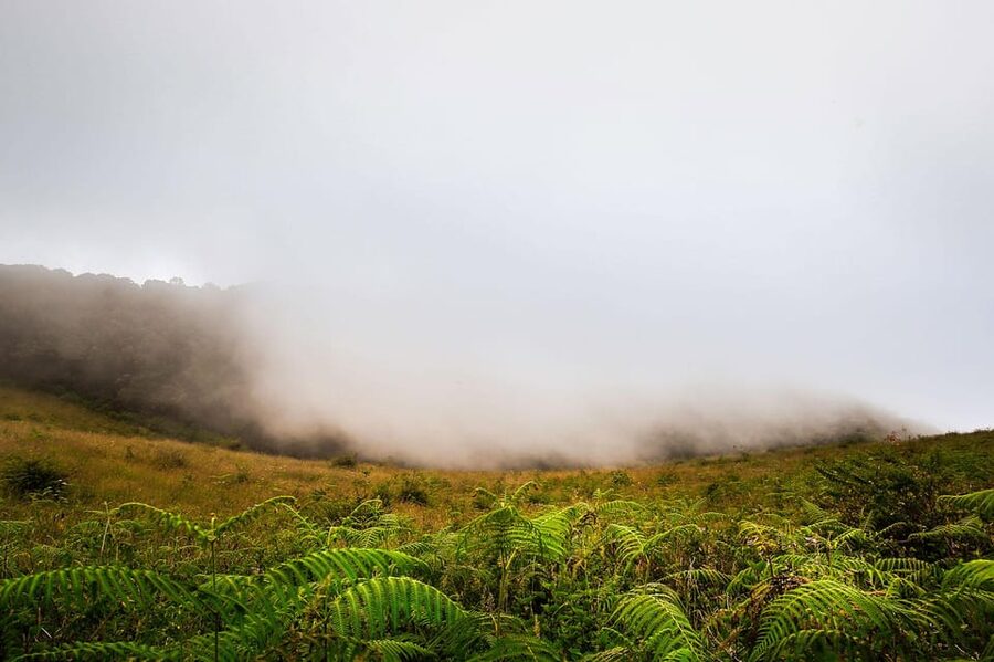 Chiang Mai: Doi Inthanon National Park, Waterfall & Lunch - Who should book this Doi Inthanon day trip
