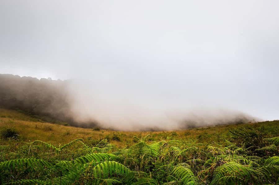 Chiang Mai: Doi Inthanon National Park, Waterfall & Lunch - Getting there and back: pickup, van time, and timing that matters