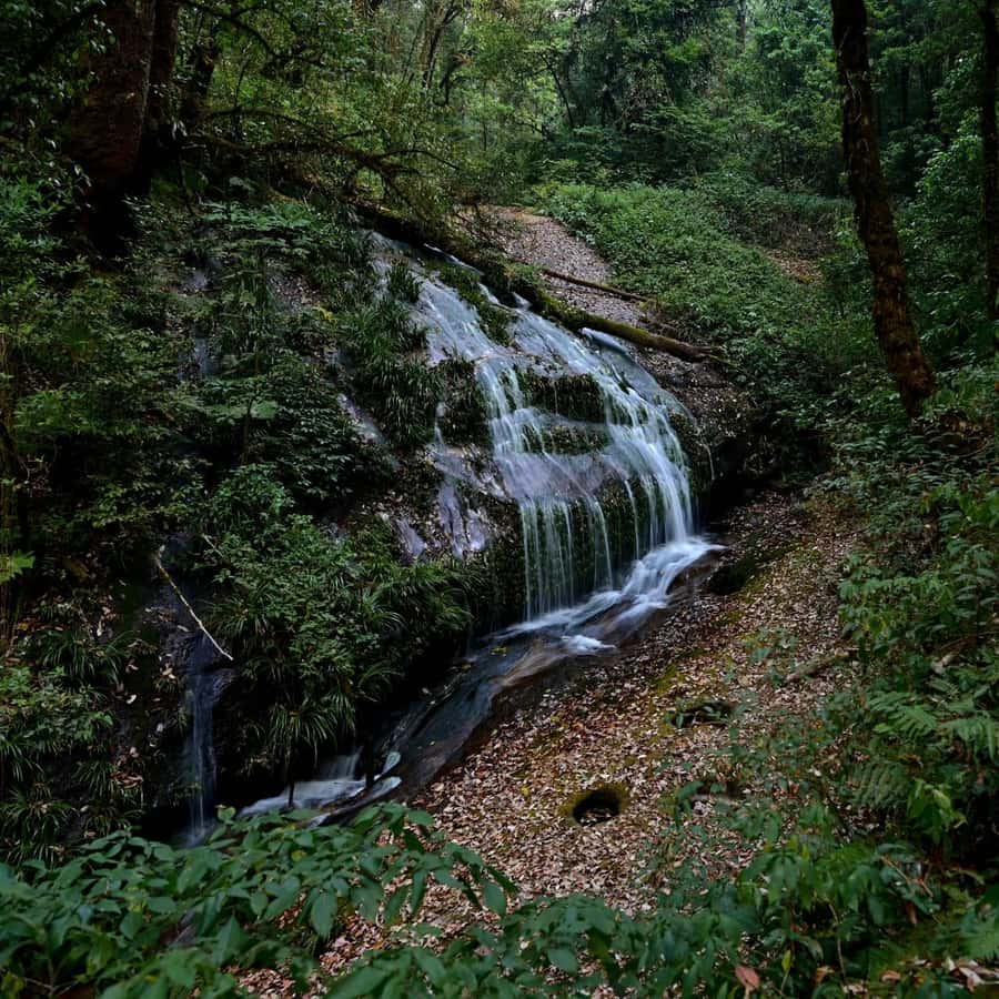 Chiang Mai: Doi Inthanon National Park, Waterfall & Lunch - Park fees and tickets: choose your option carefully