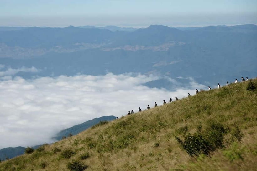 Chiang Mai: Doi Inthanon Park and Kew Mae Pan 2-Hour Hike - Getting to Doi Inthanon Summit at 2,565 meters