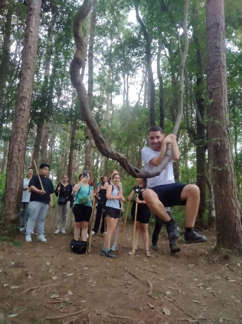Chiang Mai: Doi Inthanon Park and Pha Dok Siew Hike Day Trip - Hmong Village lunch and hilltribe culture stops that feel practical