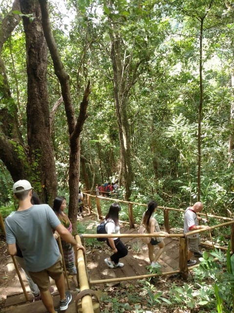 Chiang Mai: Doi Inthanon Park and Pha Dok Siew Hike Day Trip - Wachirathan Waterfall break, plus when swimming is actually an option