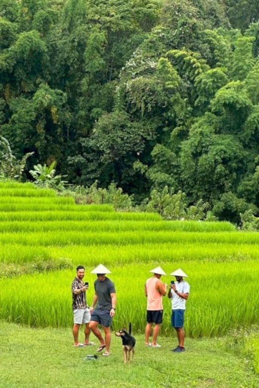 Chiang Mai: Doi Inthanon Park and Pha Dok Siew Trail Trek - Thailand’s Highest Peak: Summit Views and a Quick Monastery Stop
