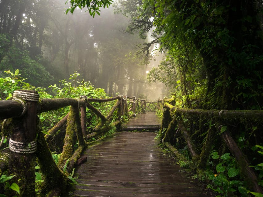 Chiang Mai: Doi Inthanon Park and Pha Dok Siew Trail Trek - King and Queen Pagodas: Iconic Views, Weather-Dependent