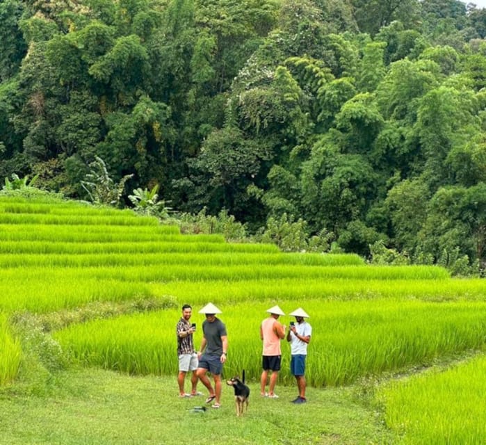 Chiang Mai: Doi Inthanon Park and Pha Dok Siew Trail Trek - Coffee Tasting at Baan Mae Klang Luang