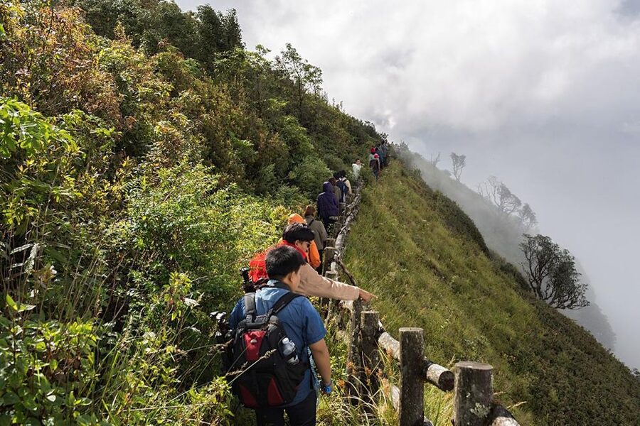 Chiang Mai: Doi Inthanon Park Day Trip with Kiw Mae Pan Hike - Lunch in the Highlands: Fuel That Actually Matters