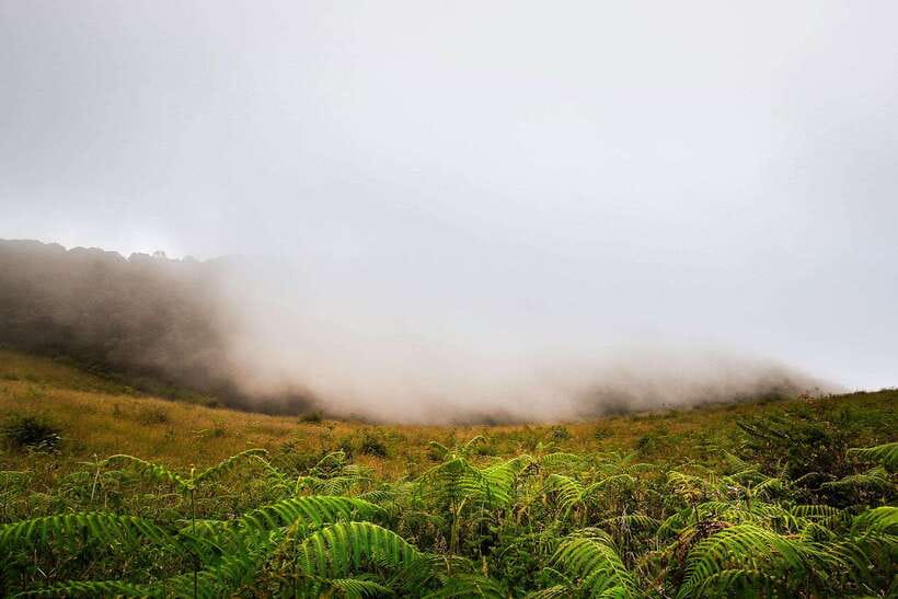 Chiang Mai: Doi Inthanon Park Tour & Kew Mae Pan Trail Hike - Lunch and mountain comfort: set menu plus cold-weather reality