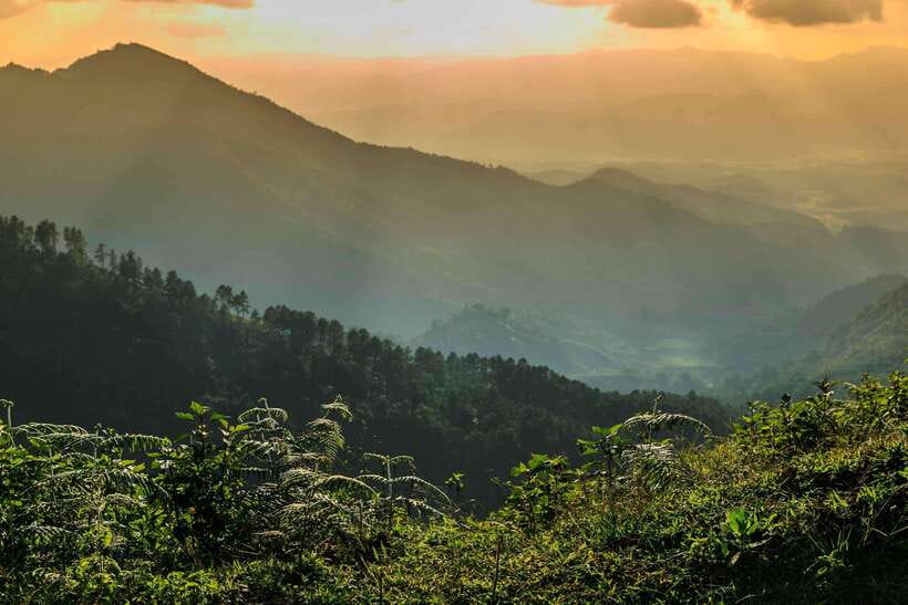 Chiang Mai: Doi Inthanon Park Tour & Kew Mae Pan Trail Hike - Price and national park fee options: what $51 actually means