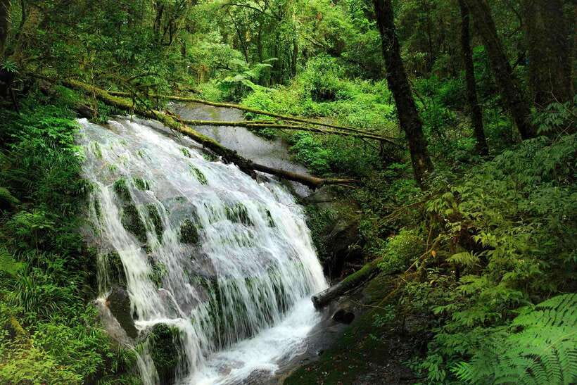 Chiang Mai: Doi Inthanon Park Tour & Kew Mae Pan Trail Hike - Timing and meeting points: avoid the morning traffic stress