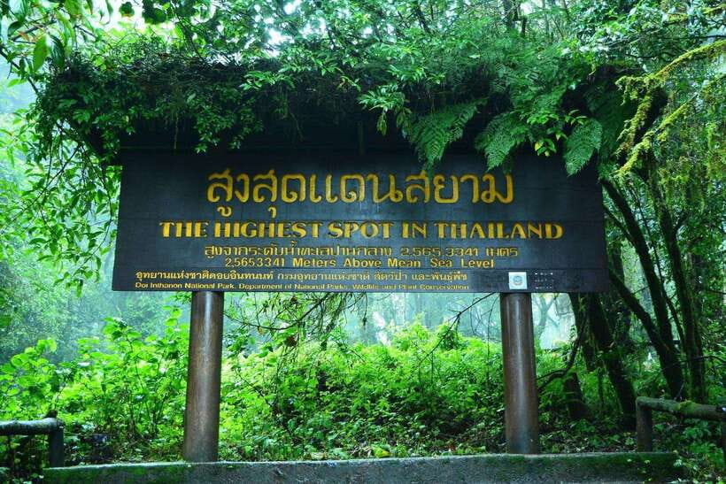 Chiang Mai: Doi Inthanon Park Tour & Kew Mae Pan Trail Hike - Kew Mae Pan Nature Trail hike: 2 hours of undulating effort