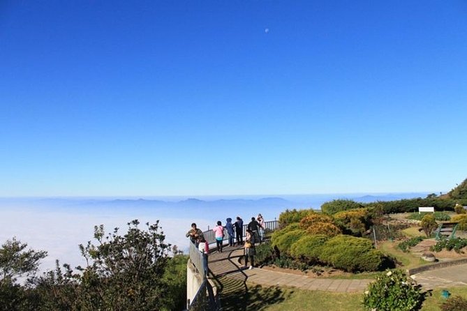 CHIANG MAI: Doi Inthanon-Trekking Keiw Mae Pan-Waterfall-Lunch - What the day feels like: pacing, group size, and guide style