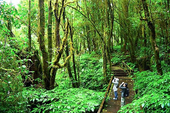 CHIANG MAI: Doi Inthanon-Trekking Keiw Mae Pan-Waterfall-Lunch - Getting the most from the trekking day: what to pack and how to plan