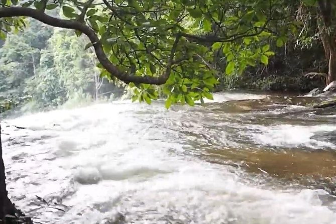 CHIANG MAI: Doi Inthanon-Trekking Pha Dok Seaw-Waterfall-Lunch - Doi Inthanon plus Pha Dok Siew, the best kind of full-day outing