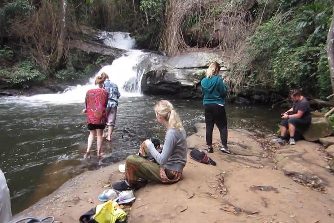 CHIANG MAI: Doi Inthanon-Trekking Pha Dok Seaw-Waterfall-Lunch - Pha Dok Siew Nature Trail: rice terraces, coffee, and a swim option