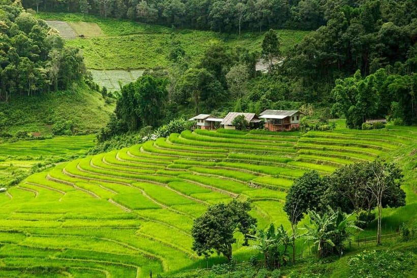 Chiang Mai: Doi Inthanon Trip with Pha Dok Siew Guided Trek - Key highlights to look forward to
