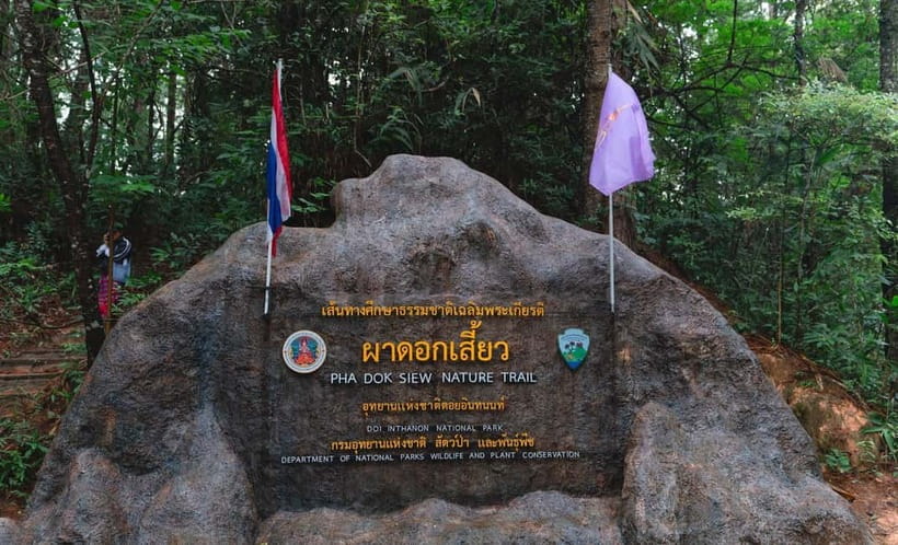 Chiang Mai: Doi Inthanon Trip with Pha Dok Siew Guided Trek - King and Queen pagodas: views first, outfit matters