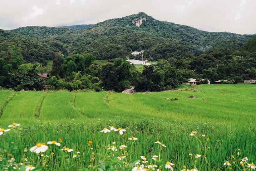 Chiang Mai: Doi Inthanon Trip with Pha Dok Siew Guided Trek - Karen village time, plus coffee and tea that actually feels local