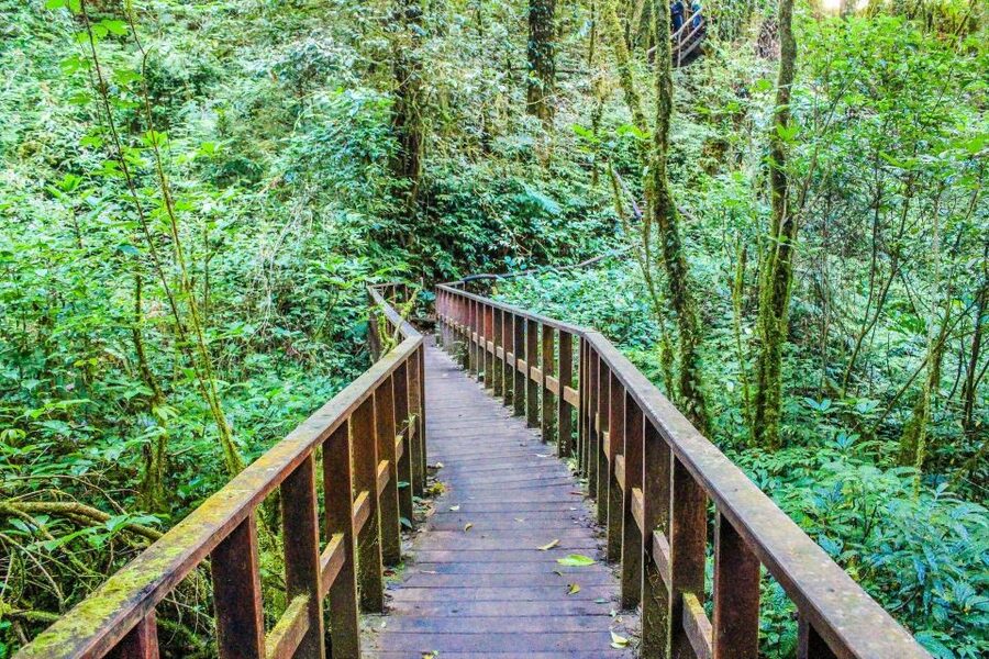 Chiang Mai: Doi Inthanon, Waterfalls, & Tribal Villages Tour - Karen and Hmong hill tribes: learning the basics respectfully