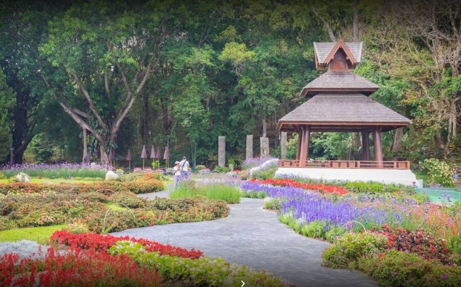 Chiang Mai: Doi Suthep National Park Leisure Hiking & Biking - Riding downhill on Doi Suthep: fun, control, and road awareness