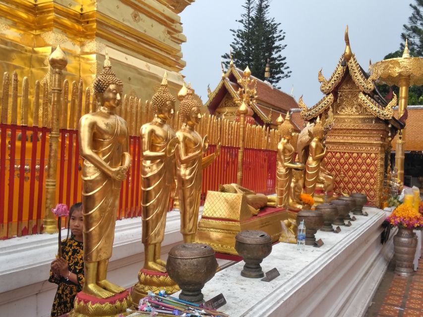Chiang Mai: Doi Suthep National Park Leisure Hiking & Biking - The quieter extras: Queen Summer Palace and Wat Pha Lat