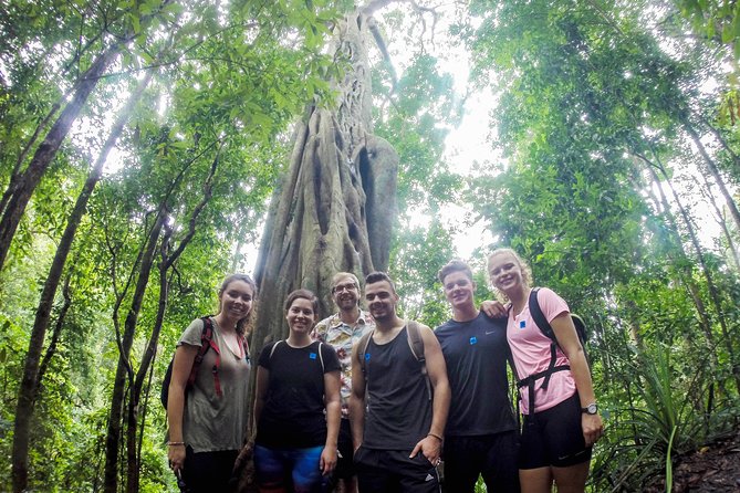 Chiang Mai: Doi Suthep Summit Trek – 7 Hour Pure Hiking Adventure - Why the Doi Pui route feels wilder than just visiting Doi Suthep