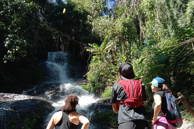 Chiang Mai: Doi Suthep Summit Trek – 7 Hour Pure Hiking Adventure - Meeting up at 9:30 and getting to the trail without logistics headaches