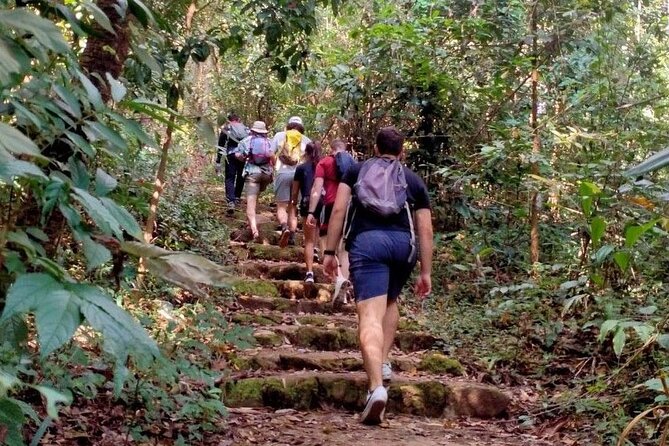 Chiang Mai: Doi Suthep Summit Trek – 7 Hour Pure Hiking Adventure - Price and value: what $60.03 buys you, plus the THB 250 entry fee