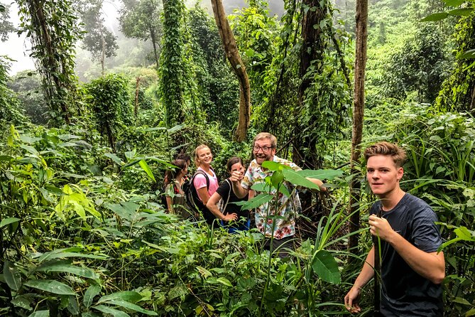 Chiang Mai: Doi Suthep Summit Trek – 7 Hour Pure Hiking Adventure - Should you book? My practical take