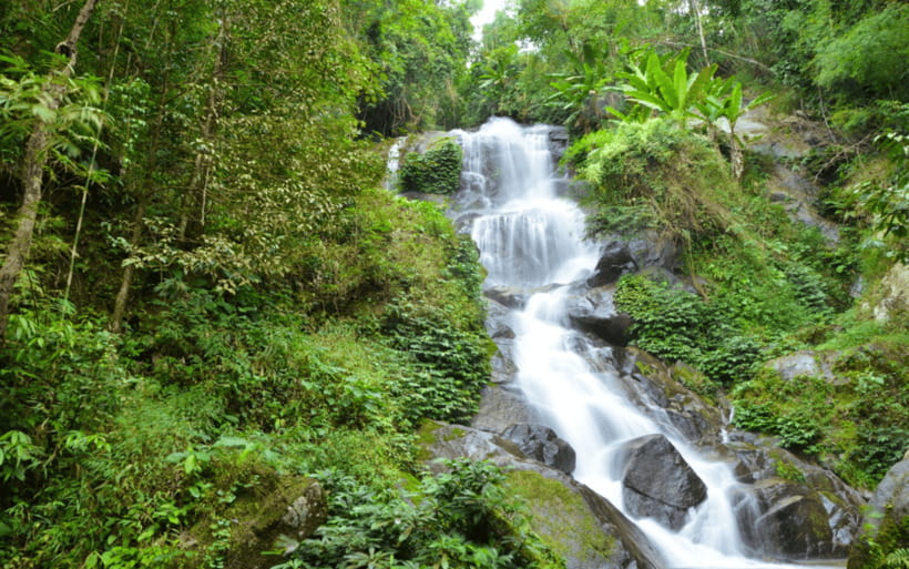 Chiang Mai: Doi Suthep Temple and Waterfall by Songtaew Trio - Huay Kaew Waterfall: a calm reset with an easy trail