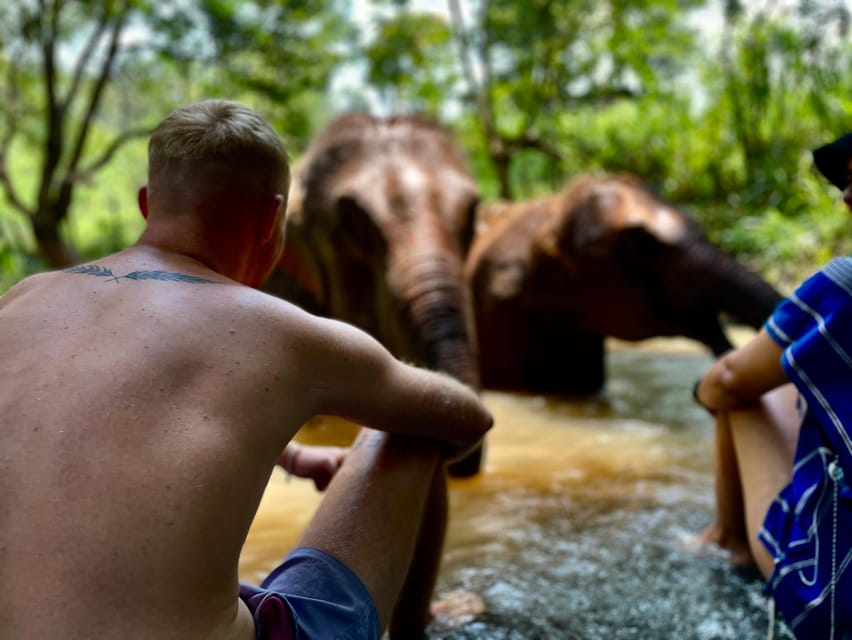 Chiang Mai: Elephant Dream Project Sanctuary - Half-Day - Key things to know before you go