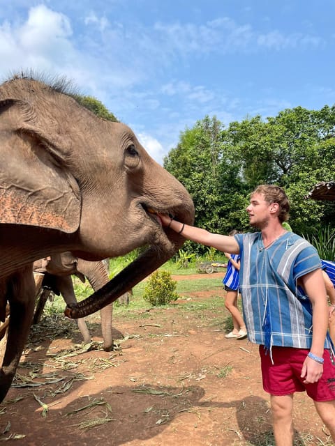 Chiang Mai: Elephant Dream Project Sanctuary - Half-Day - Arrival briefing: JJ sets the tone fast