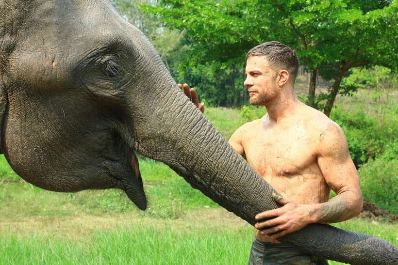 Chiang Mai: Elephant Feeding Experience - Key things to know before you go