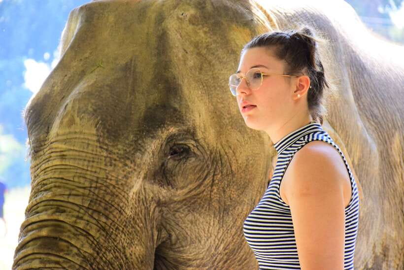 Chiang Mai: Elephant Feeding Experience - Getting there without hotel pickup: taxi guidance in Chiang Mai