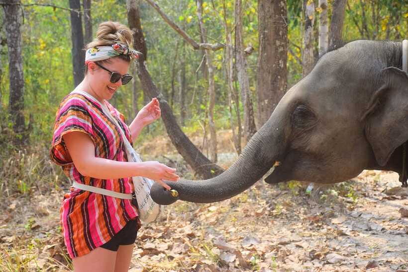 Chiang Mai: Elephant Feeding Experience - Food prep with your guide: making elephant cuisine