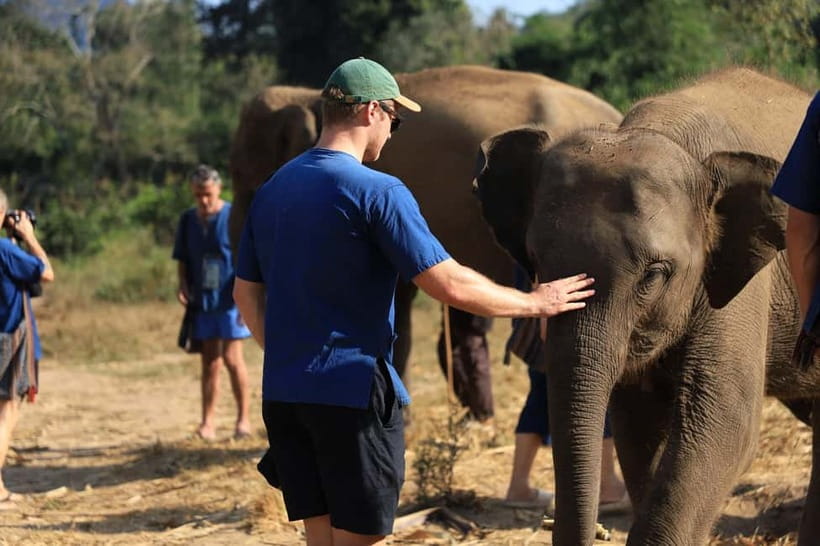 Chiang Mai: Elephant Sanctuary Bamboo Raft & Padthai Cooking - Quick must-know highlights