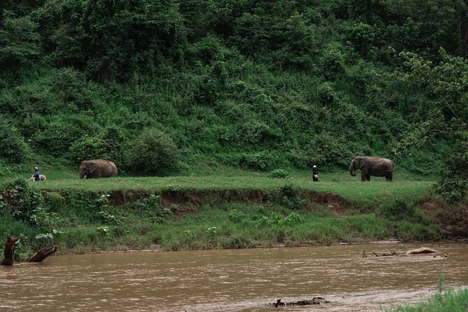 Chiang Mai Elephant Sanctuary, Bamboo Rafting and Waterfall Tour - Bua Tong Sticky Waterfall: Barefoot Climb and Cooling Mist
