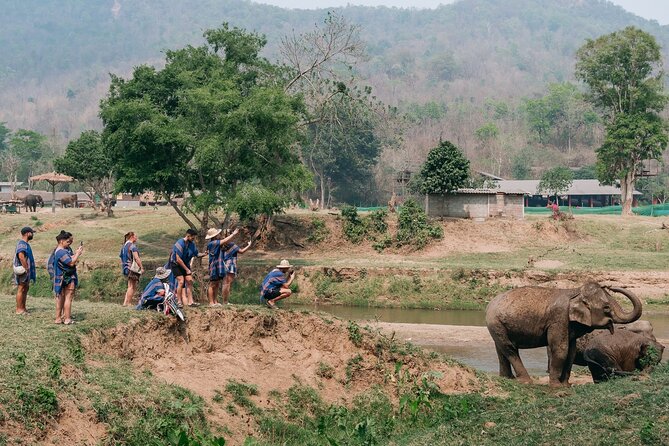 Chiang Mai Elephant Sanctuary, Bamboo Rafting and Waterfall Tour - Timing, Pickup, and Why the Group Size Matters