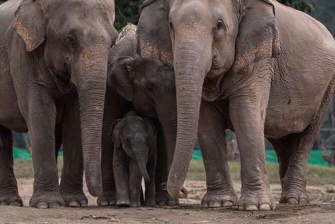 Chiang Mai Elephant Sanctuary, Bamboo Rafting and Waterfall Tour - What to Pack for a Barefoot Waterfall and a Full Day