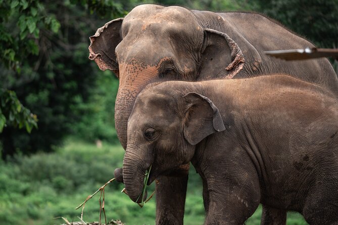 Chiang Mai Elephant Sanctuary, Bamboo Rafting and Waterfall Tour - Bamboo Rafting at 8Adventures Camp: Quiet Water After the Falls