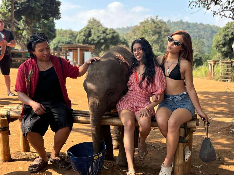 Chiang Mai: Elephant Sanctuary Feeding Program Half-Day Tour - The half-day drive south of Mae Wang sets the tone